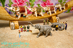 Stop the Slaughter. Ban Ivory! - While you were sleeping...  Photography by Lon Casler Bixby - Copyright - All Rights Reserved - www.whileyouweresleeping.photography/