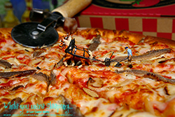 Pizza Cutter - While you were sleeping...  Photography by Lon Casler Bixby - Copyright - All Rights Reserved - www.whileyouweresleeping.photography/