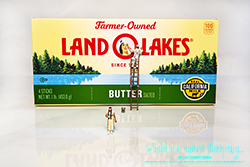 Land O Lakes. Ethnic Cleansing. Cancel Culture strikes again, erasing another proud indigenous woman from American history.  Photography by Lon Casler Bixby - Copyright - All Rights Reserved - www.whileyouweresleeping.photography/