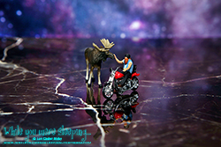 Moose meets his spirit animal. - Photography by Lon Casler Bixby - Copyright - All Rights Reserved - www.whileyouweresleeping.photography/