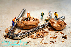 A Crack Walnut Crew - While you were sleeping...  Photography by Lon Casler Bixby - Copyright - All Rights Reserved - www.whileyouweresleeping.photography/
