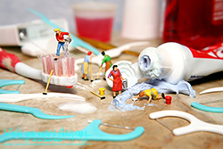 It was a big mess, but Hazel and the girls managed to clean it all up. - While you were sleeping...  Photography by Lon Casler Bixby - Copyright - All Rights Reserved - www.whileyouweresleeping.photography/