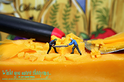 The workers agreed that neither one would make another Cutting the Cheese joke. - While you were sleeping...  Photography by Lon Casler Bixby - Copyright - All Rights Reserved - www.whileyouweresleeping.photography/