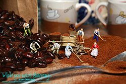 Grinding the Dark Roast - While you were sleeping...  Photography by Lon Casler Bixby - Copyright - All Rights Reserved - www.whileyouweresleeping.photography/