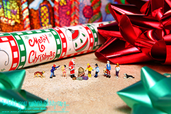 Have Yourself a Mini Little Christmas - While you were sleeping...  Photography by Lon Casler Bixby - Copyright - All Rights Reserved - www.whileyouweresleeping.photography/