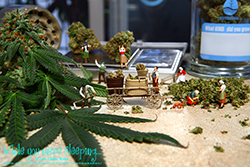 Harvest Time 4:20  - While you were sleeping...  Photography by Lon Casler Bixby - Copyright - All Rights Reserved - www.whileyouweresleeping.photography/