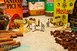 Abdul always brought exotic spices from the back of hard-to-reach shelves, but this time the other traders were more interested in the weird, two-humped camels he had.  - While you were sleeping...  Photography by Lon Casler Bixby - Copyright - All Rights Reserved - www.whileyouweresleeping.photography/